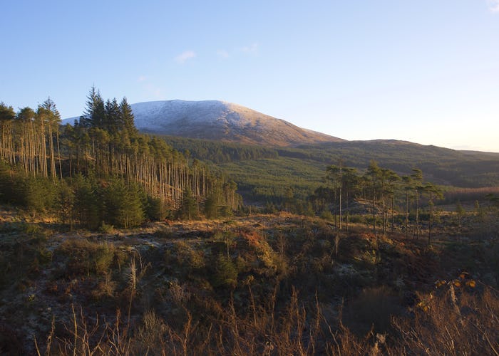 Galloway Forest Park