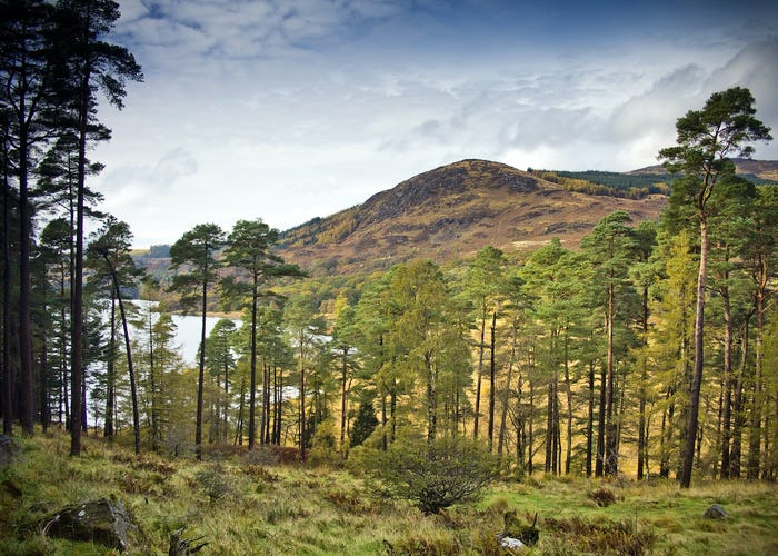 Galloway Forest Park