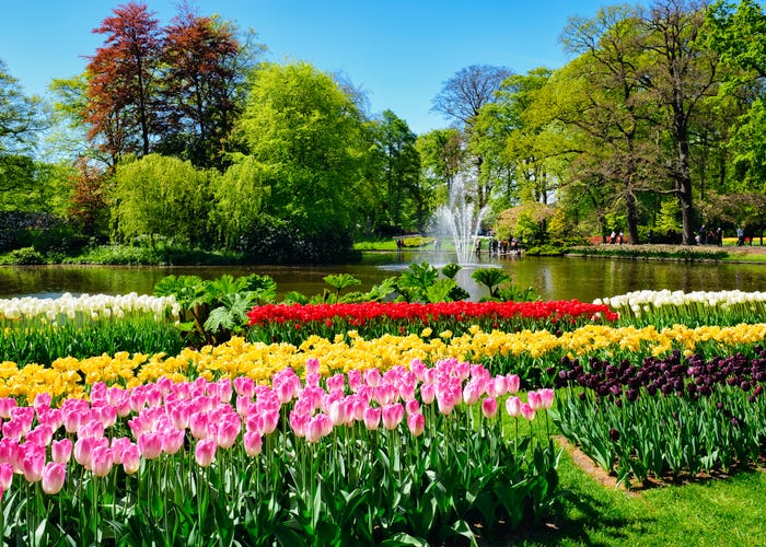 Keukenhof Gardens