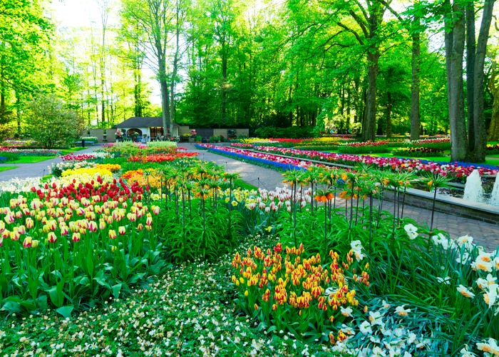 Keukenhof Park