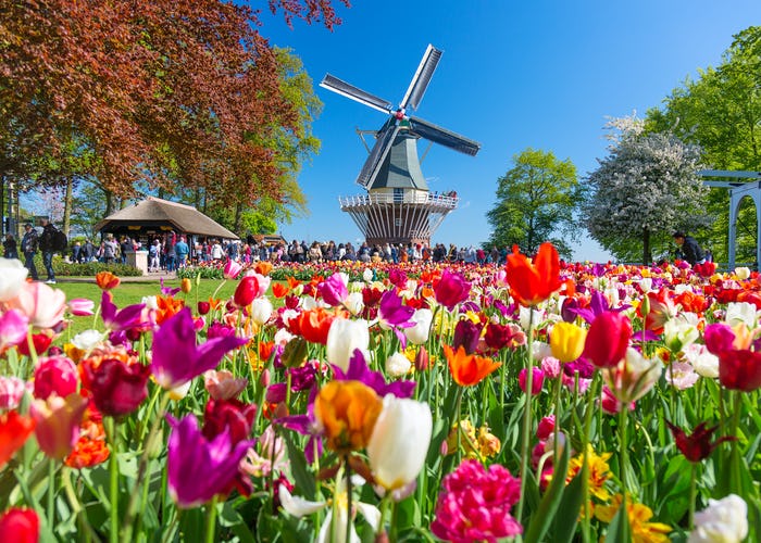 Keukenhof Park