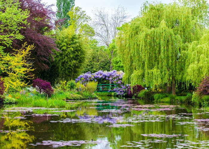 Monet's Garden