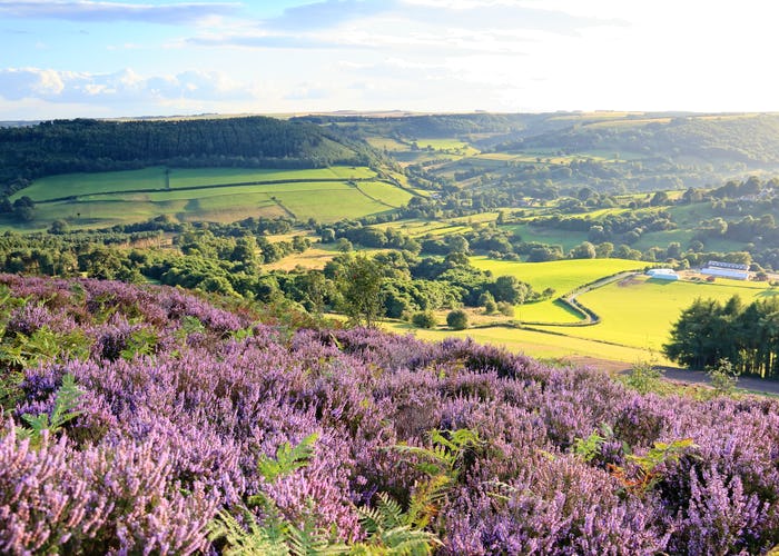 North Yorkshire Moors